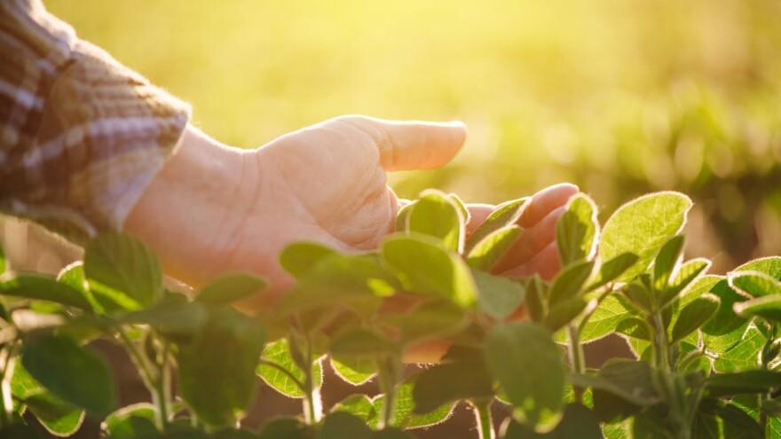 Objavljen novi natječaj za 4.1.1., čak 360 milijuna kuna za biljnu proizvodnju!