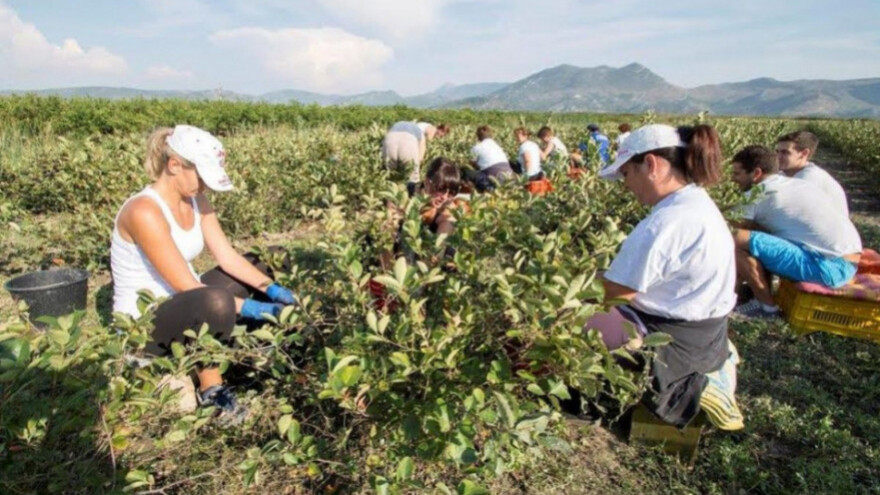 Sudjelujte u izradi pravilnika Mjere 4!