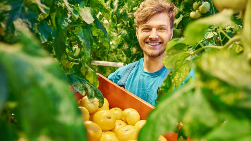 Izdane Odluke o dodjeli sredstava za voće i povrće
