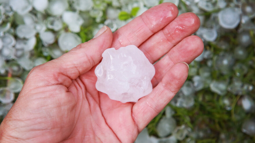 Objavljen novi natječaj, 50 milijuna kuna za obnovu zemljišta i proizvodnog potencijala zbog šteta!