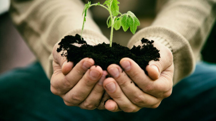 Malim poljoprivrednicima 150 milijuna kuna za projekte!