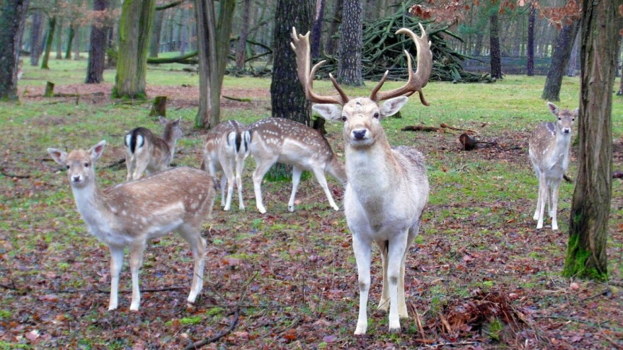 Objavljen natječaj za uspostavu i uređenje poučnih staza, vidikovaca i ostale manje infrastrukture