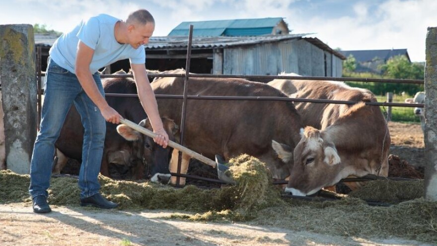 Slijedi oporavak europskog mljekarstva?