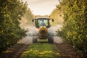 Mjere u zaštiti jabuke