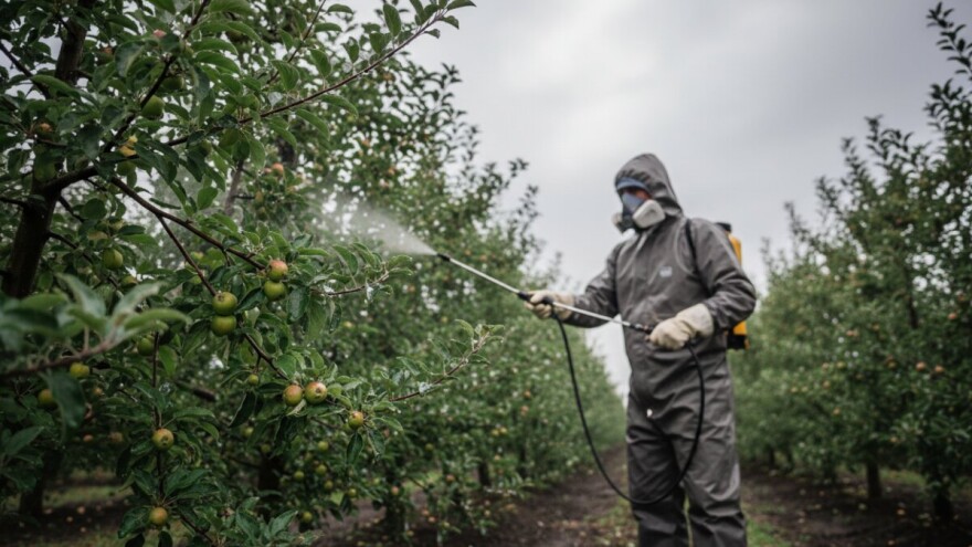 Mjere u zaštiti jabuke i kruške
