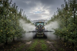 Mjere u zaštiti jabuke i kruške