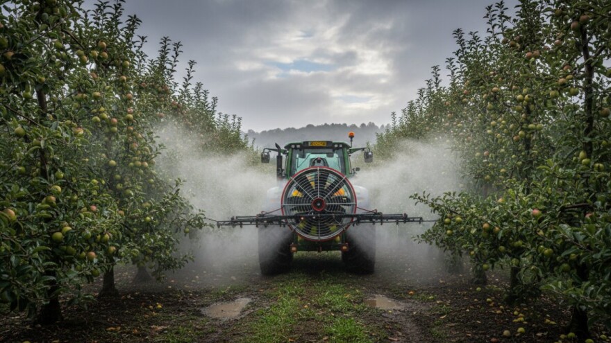 Mjere u zaštiti jabuke i kruške