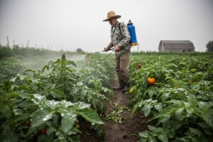 Mjere u zaštiti povrća