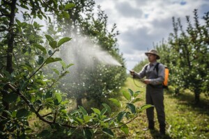 Mjere u zaštiti voćaka