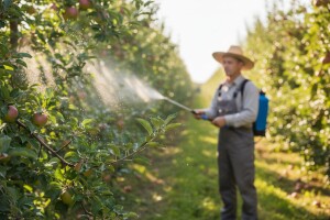 Mjere u zaštiti voćaka