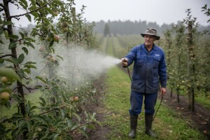 Mjere u zaštiti voćaka