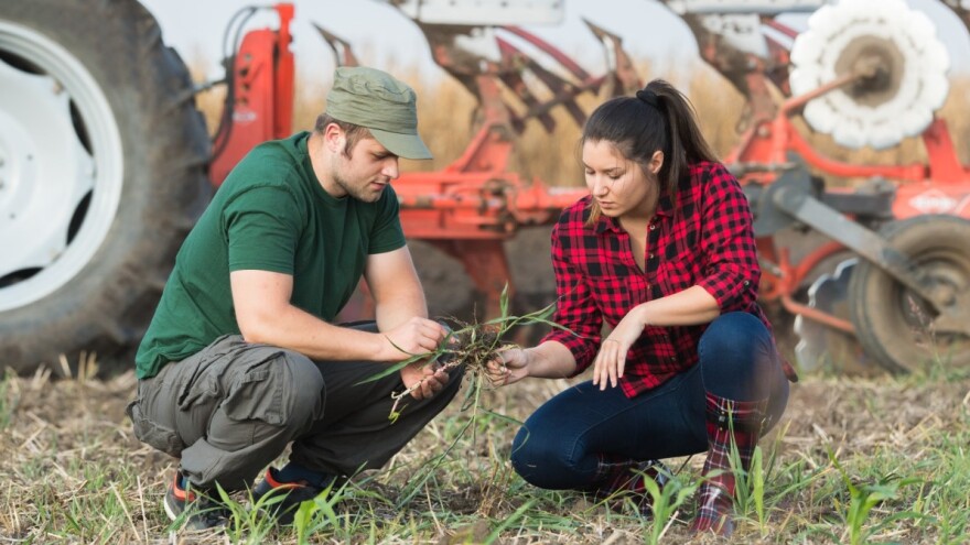 Šta IPARD nudi mladim poljoprivrednicima?