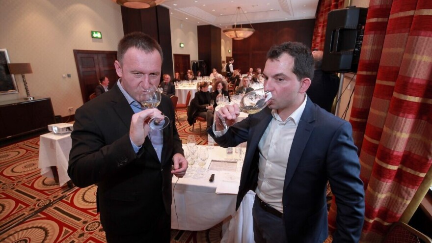 'Slijepo' kušanje sedam mladih malvazija, kvaliteti pogodovalo umjereno ljeto