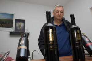 Mladen Anić krči cabernet sauvignon da bi posadio autohtonu svrdlovinu