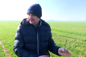 Mladen Konjević: Sada se stvaraju komponente prinosa, kasnije ih možemo samo prihranjivati