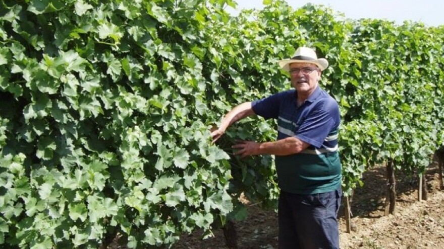 Stomatolog, golubar i garažni vinar u jednom!