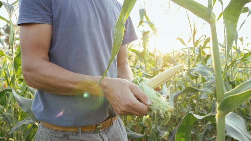 Krenulo izdavanje odluka za operaciju 6.1.1. - financirat će se 366 projekata mladih poljoprivrednika!