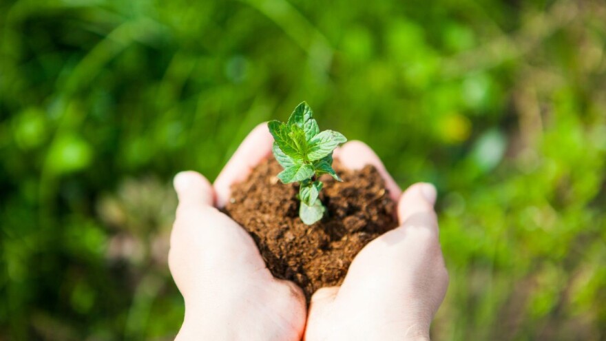 Mladi poljoprivrednici, od sutra kreću prijave na natječaj podmjere 6.1.1.!