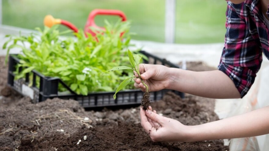 21,55 milijuna eura za mlade poljoprivrednike