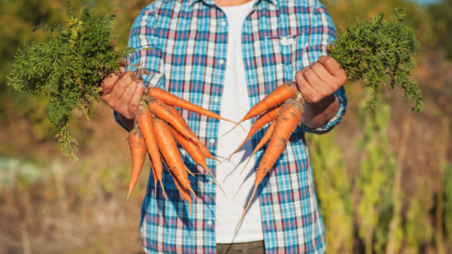 Samo 6% nositelja OPG-a u EU mlađe je od 35 godina!