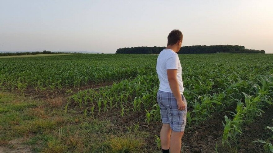 Odobrene prve potpore mladim poljoprivrednicima