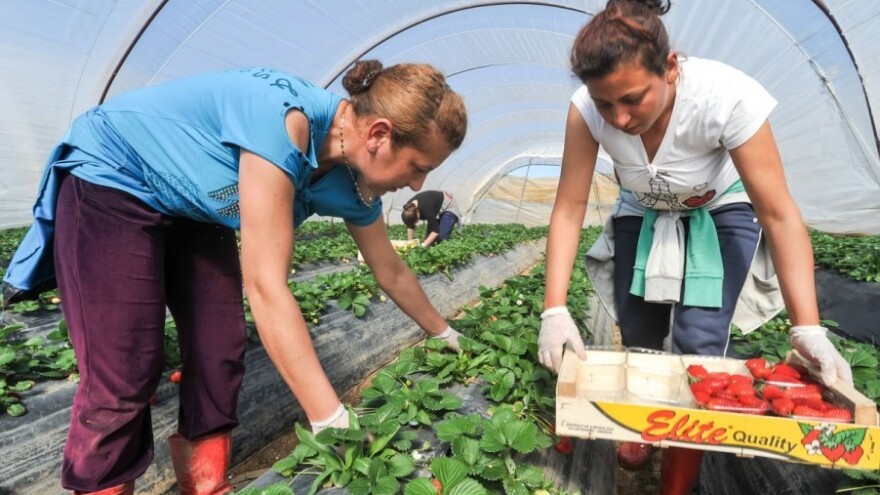 Na mladima poljoprivreda ostaje, ili?