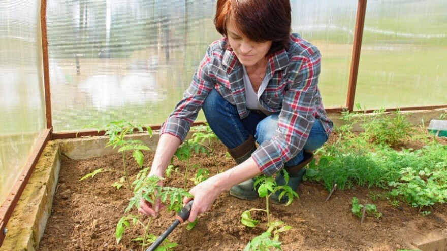 Konferencija za mlade poljoprivrednike u Zagrebu