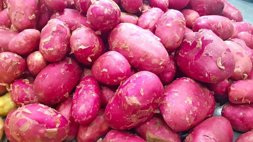 Mladi krompir na pijaci u novembru?