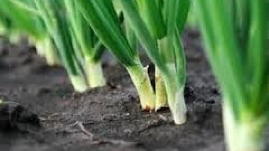 Zaštita luka na moslavačkom području