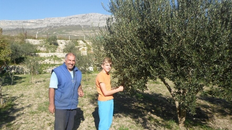 Bogomoljani dobili novu uljaru