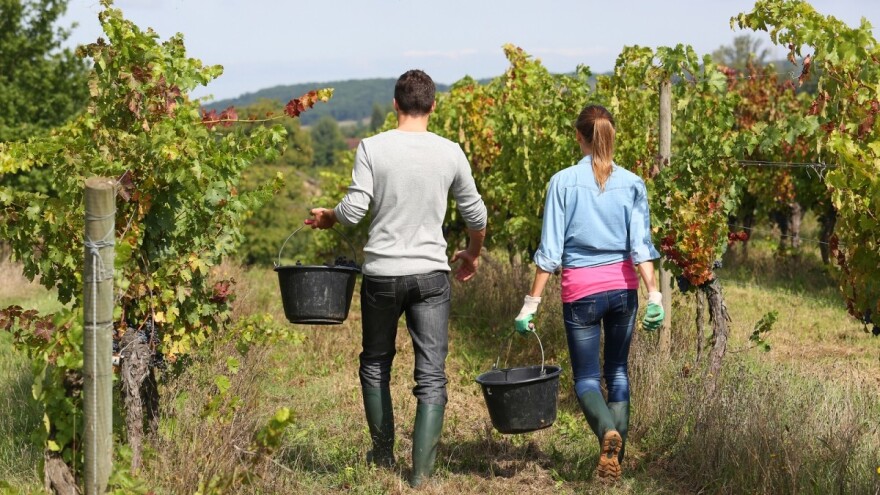 Šta Srbija radi da zadrži mlade na selu?