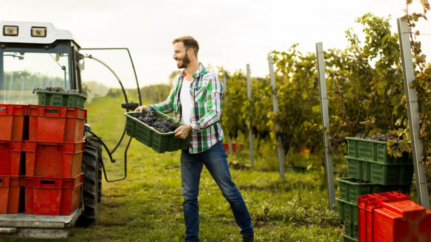 EU traži rješenje kako zadržati mlade na selu