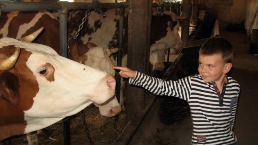 Sve više stočara stavlja katanac na štale