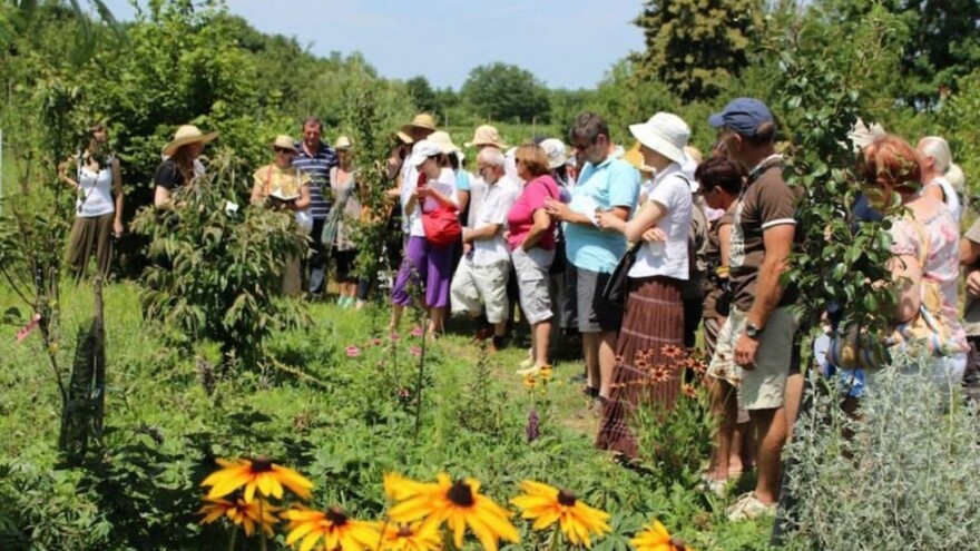 Koje kulture su u poljoprivredi profitabilne?