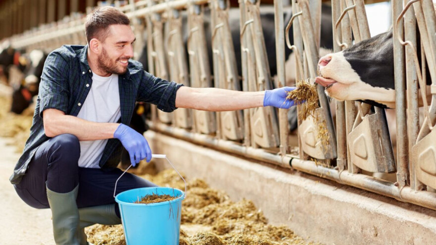Uskoro ćemo znati tko je najbolji mladi poljoprivrednik