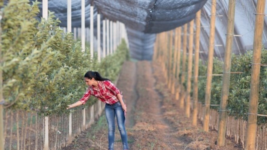 VIDRA prijavila 13 projekata za mlade farmere