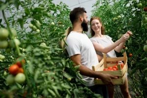 Garantni fond za startap u poljoprivredi sledeće godine