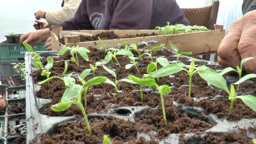 Povezanost nauke i poljoprivrede u Srbiji mora biti veća