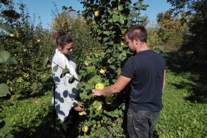 Oni su uspješni mladi poljoprivrednici. Upoznajte ih!