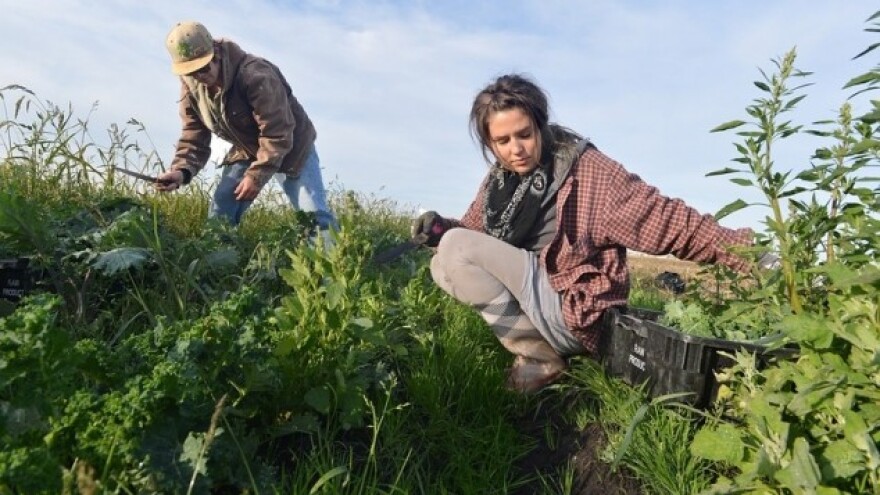 S mrtve točke pokrenuli eko energetsku revoluciju!