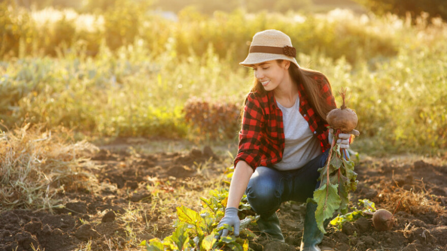 Mladim poljoprivrednicima duplo više novca za projekte ruralnog razvoja!