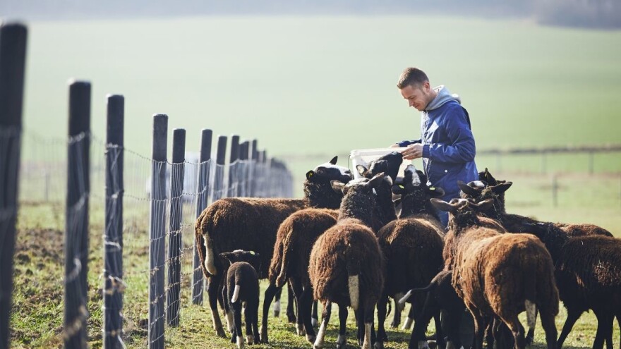 ZPP: Potrebni su resursi za finansiranje poljoprivrednika koji se zaista bave poljoprivredom