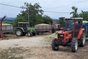 Kako mladi poljoprivrednik stečeno znanje na fakultetu primenjuje u svojoj proizvodnji?