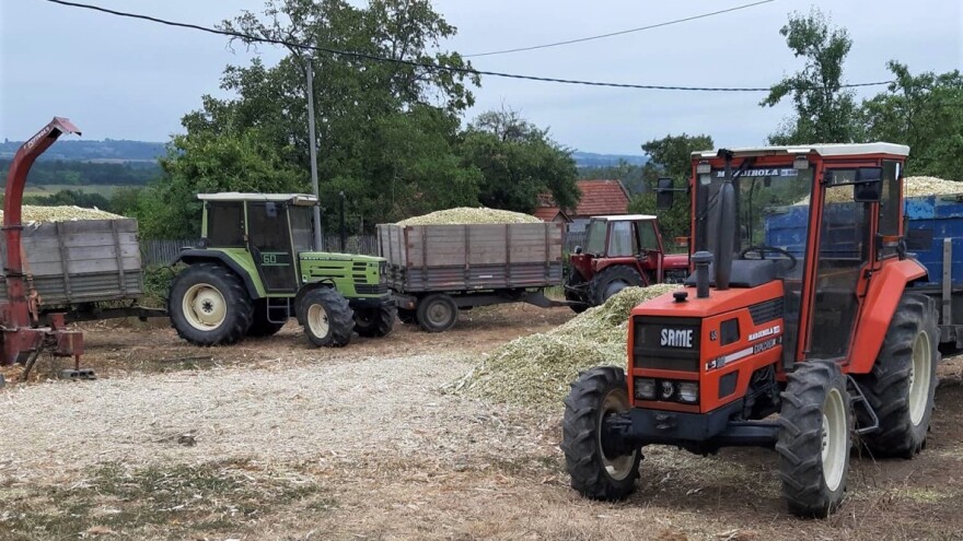 Kako mladi poljoprivrednik stečeno znanje na fakultetu primenjuje u svojoj proizvodnji?
