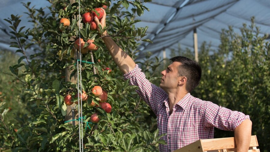 Isplata subvencija za mlade poljoprivrednike i dalje na čekanju