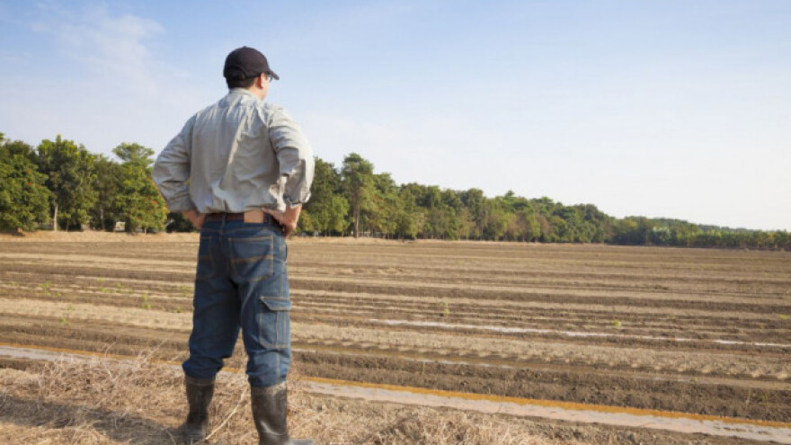 Što su mladi poljoprivrednici dobili reformama ZPP?