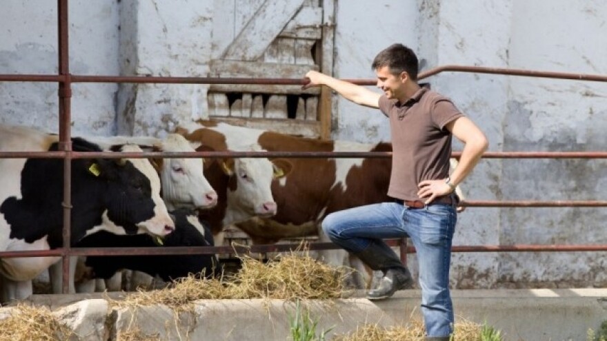 Najveći izazovi mladih farmera u EU - zemljište!