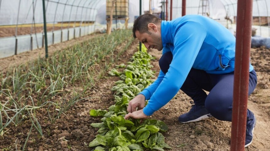 Županija financira mlade poljoprivrednike!