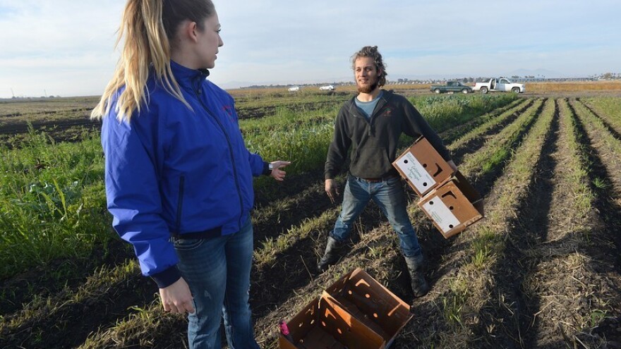 Mladi farmeri - pripremite se za natječaje!