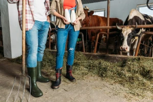 Mladi stočari osnovali zadrugu za bolji plasman mleka